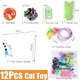 Speedy Panther 12 Pcs Cat Toys Indoor Plush Catnip Teaser Wand Spring Kit view 2