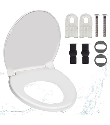 ティート　sss SS113_01_2000_2000.webp