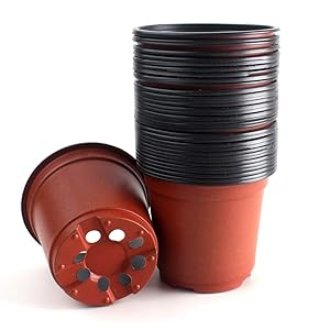 ZICOME Plastic Seedlings Starter Nursery Pots Starting Seeds Transplanting Plants, 4-Inch (50 Pack)