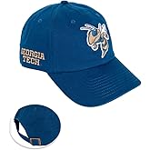 Desert Cactus Georgia Tech University Baseball Hat Yellow Jackets GT Institute of Technology Brimmed Embroidered Hats Cap Adjustable Cloth Strap Adult (Style D1)