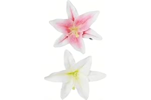 2 Packs Realistic Lily Flower Hair Clips for Women Hibiscus Flower Clips Shoes Beach Flower Accessories for Hawaii Holidays L