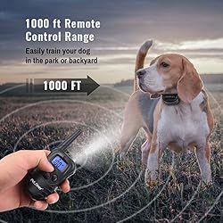 Petrainer PET998DB1 330 Yards Rechargeable and