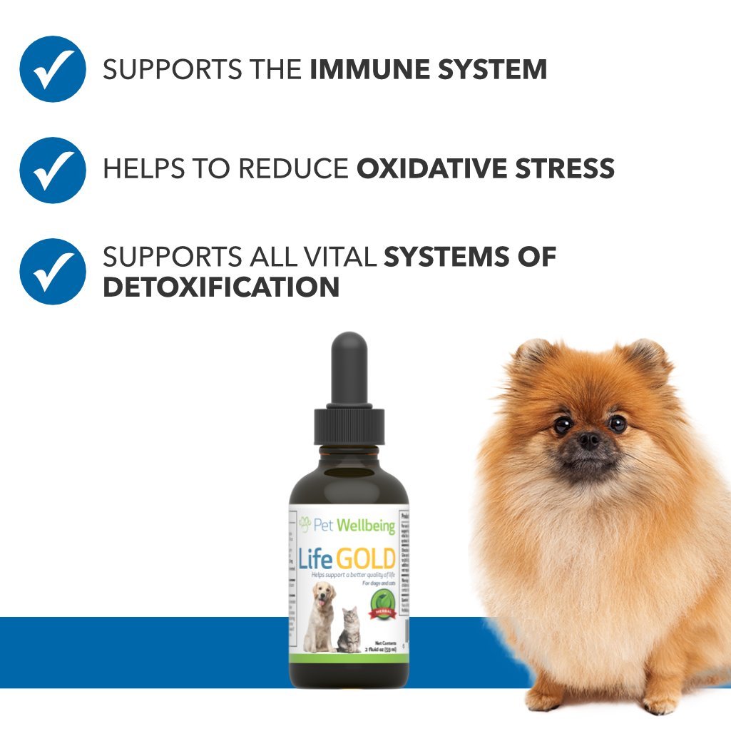 Pet Wellbeing Life Gold For Dogs Natural Cancer Support For Dogs