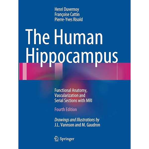 The Human Hippocampus: Functional Anatomy, Vascularization and