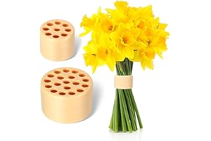 KANNITTY 2Pcs Flower Arrangements Supplies - Bouquet Holder,Flower Arrangement Holder,Spiral Ikebana Stem Holder,Flower Frogs for Arrangements Vase,Bouquet Twister for Floral Stems Bouquets Plant Fixation