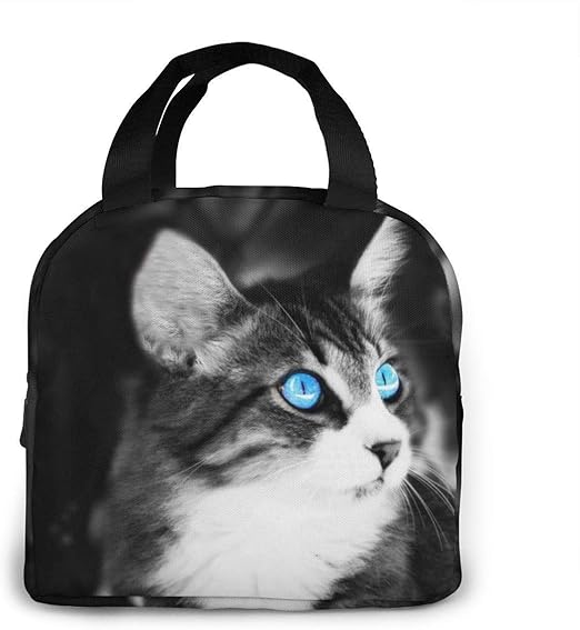 致命的 寛大な 溶かす バック 猫 Cc School Jp