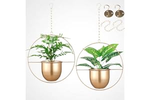 Shineloha 2 Pack Metal Plant Hangers with 5.5" Pot (Detachable) + Hook + Chain | Hanging Planters Indoor Outdoor, Gold Hanging Planters | Anti Rusted, Adjustable Hanging Length | NO Plant incld