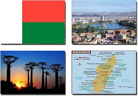 Amazon セットの4マダガスカル冷蔵庫マグネット冷蔵庫マグネット マダガスカル国旗マダガスカルマップマダガスカルattractions Giftscity 冷蔵庫マグネット