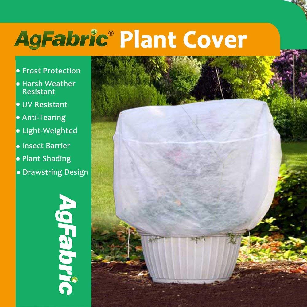 Buy Discounts Agfabric Plant Cover Warm Worth Frost Blanket 0 95 Oz 36 Hx36 Dia Round Shrub Jacket 3d Round Plant Cover For Season Extension Frost Protection Free Delivery And Returns Agallasgastrofood Com