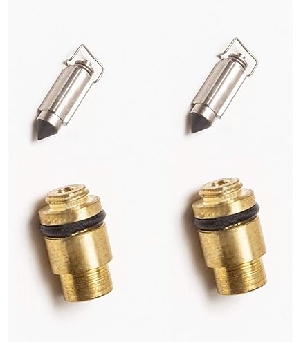 Amazon.com: RW 0118-237 Carburetor Float Valve Needle and