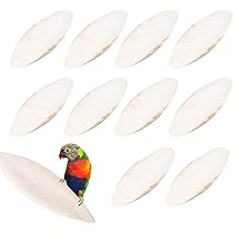 Lot De 80 Os De Seiche Naturels, Source De Calcium Pour Oiseaux, Reptiles Et Petits Animaux