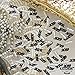 2019 Confetti | Pack of 1000, 1.5 Oz - Graduation Table Decorations | Graduation Confetti Great for Graduation Party Supplies | Graduations Decorations 2019 | Black and Silver
