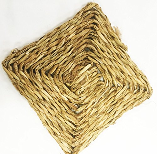 Bonka Bird Toys 1295 Square 6