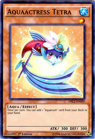 Yu-Gi-Oh! - Aquaactress Tetra (DRL2-EN039) - Dragons of Legend 2 - 1st Edition - Super Rare