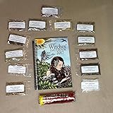 Wicca Witchcraft Starter Kit with Datebook, Herbs & Charcoal Hoodoo