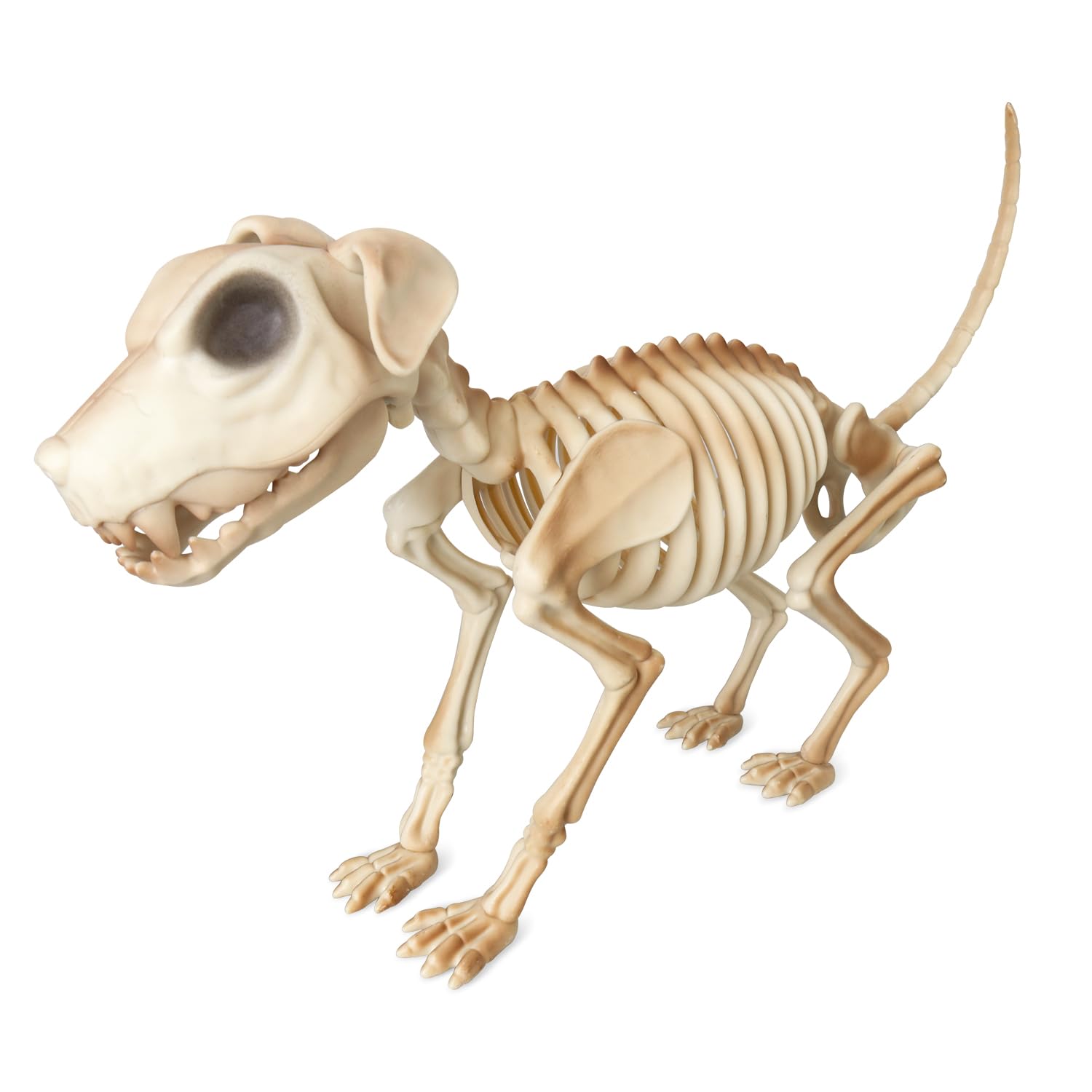 Photo 1 of LarpGears Lifesize Full Body Dog Skeleton Decorations - 18.5 Inch Puppy Skeleton for Halloween Indoor and Outdoor Decor with Moving Jaw | Spooky Halloween Props