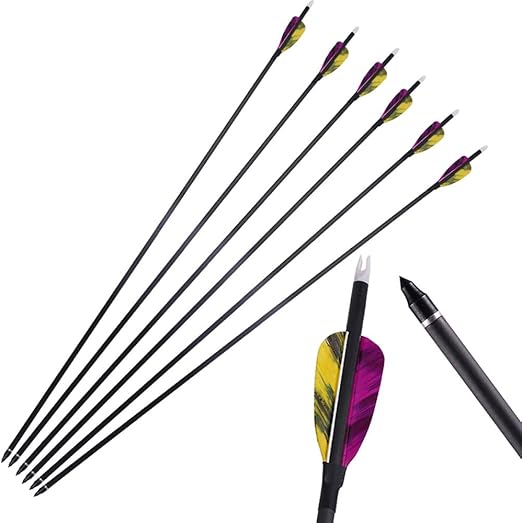 ISport 32 Inch Carbon Arrows, Archery Arrows with Natural