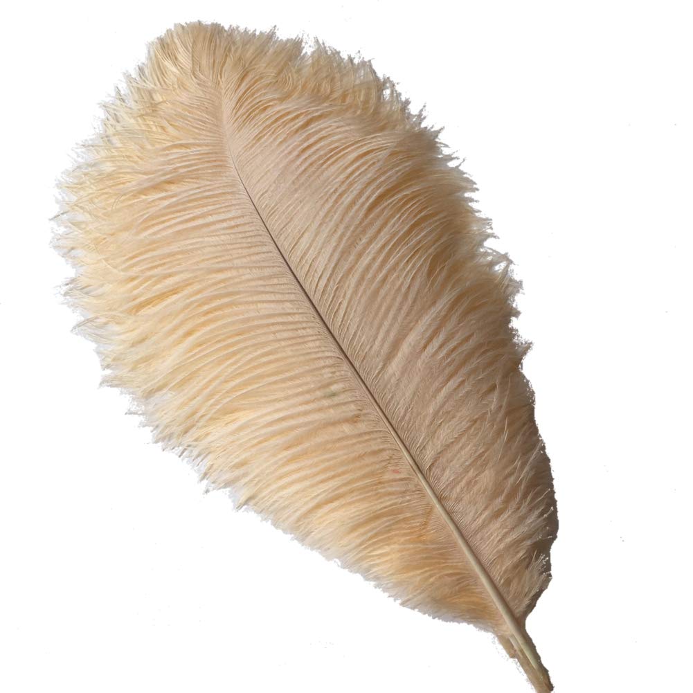 Sowder 14-16inch(35-40cm) Ostrich Feathers Plume for Wedding Centerpieces Home Decoration Pack of 10pcs(champagne)