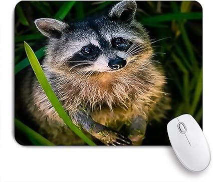 Amazon Eilannaマウスパッド かわいいかわいいタヌキの野生生物 ゲーミング オフィス最適 高級感 おしゃれ 防水 耐久性が良い 滑り止めゴム底 ゲーミングなど適用 用ノートブックコンピュータマウスマット Eilanna マウスパッド 通販