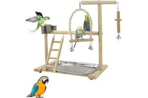Large Parrot Play Stand with Training Perches & Removable Tray, Big Bird Activity Center Playground for Macaw, Cockatoo, Afri