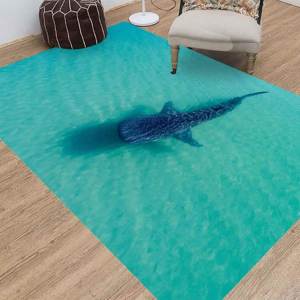 Jesmacti Rug Multi-Style Modern Interior Decoration Rug,Living Room Rug Rug, Whale Shark The Biggest Fish in Suitable for Living Room Bedroom Kindergarten Dormitory (3X5 Feet)