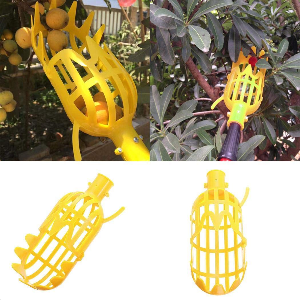 piokikio Useful and Durable Manual Picking Fruits Bayberry Tools