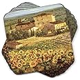 Pimpernel Tuscany Collection Coasters | Set of 6 | Cork Backed Board | Heat and Stain Resistant | Drinks Coaster for Tabletop Protection | Measures 4” x 4”