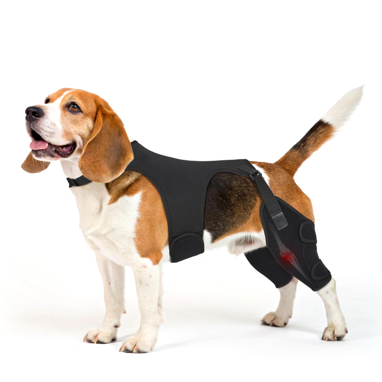Photo 1 of Pawfun Dog Knee Brace for Torn ACL Hind Leg- Dog Leg Support Brace with Metal Stabilizers for Torn CCL, Limping, Luxating Patella, Ligament Injuries, Hip Dysplasia& Arthritis,M&Vest2
