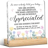 Inspirational Gifts for Women,Employee Appreciation, Motivational Desk Decor,Thank You Gifts for Women Coworker Friend Social Worker Home Office Living Room Acrylic Decor
