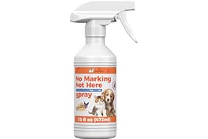 Qucship 16oz Don't Mark Here Spray for Dogs - Spray to Stop Dogs from Peeing - No Marking Spray for Dogs - Spray to Stop Dogs from Marking Furniture or Walls