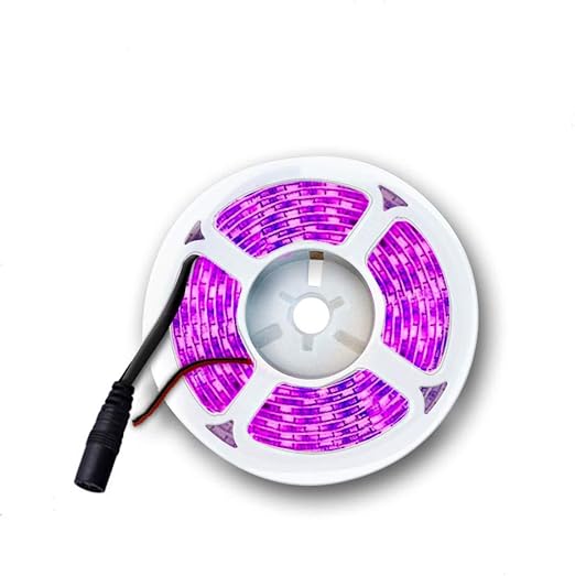 arotelicht 12v tira de luz led uv 2835 smd 300 leds 395 405nm 16 4ft 5m tira de luces negra tira de luz fluorescente de neon fluorescente para