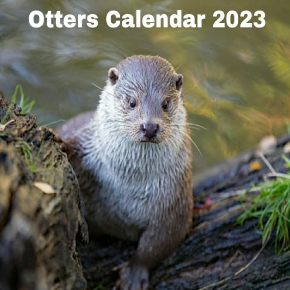 Otter Calendar 2023 Otters Calendar 2023: Calendar 2023 Animal Lovers Gift For  Women,Men,Friends: Publishing, Temsal: 9798809097550: Amazon.com: Books
