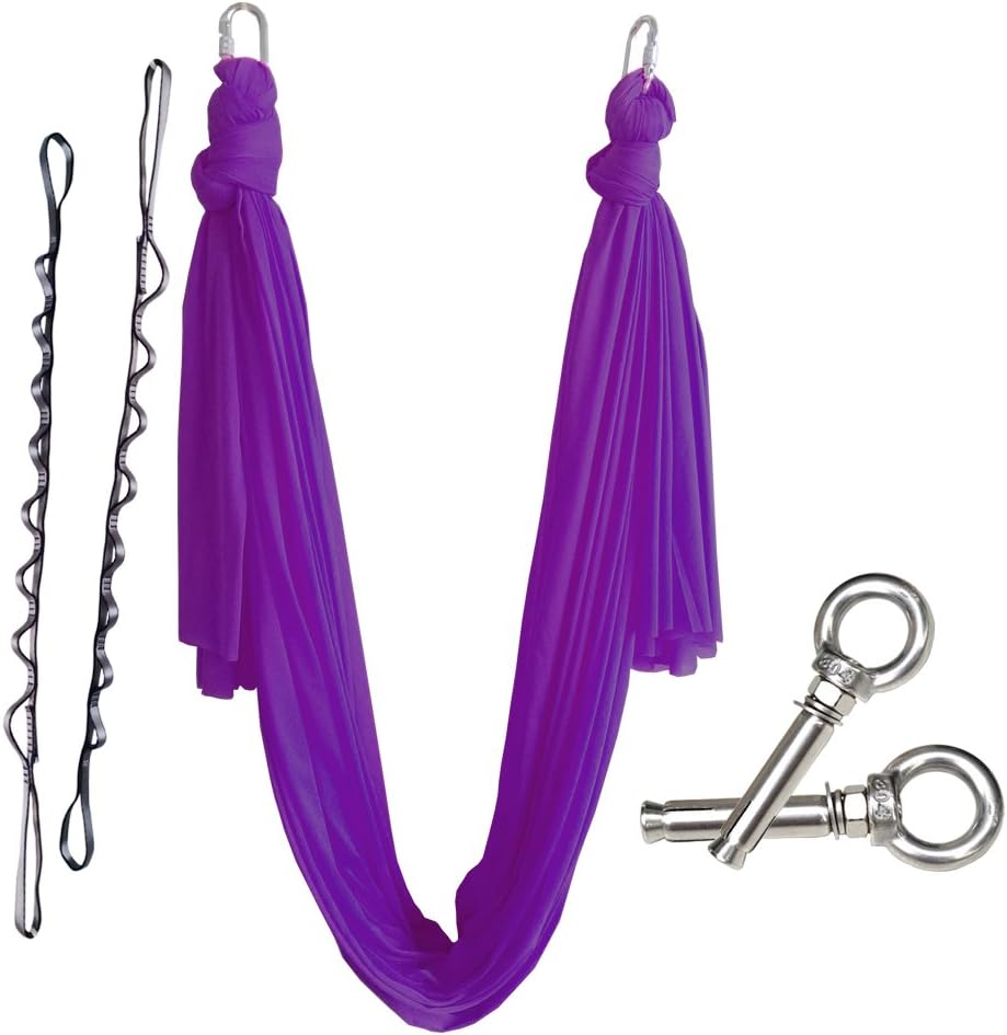 wellsem 5.5 Yards(Complete Set) Aerial Yoga Pilates Hammock Swing with Carabiner&Daisy Chain&Anchor