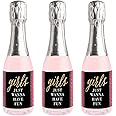 Big Dot of Happiness Girls Night Out - Mini Wine and Champagne Bottle Label Stickers - Bachelorette Party Favor Gift for Women and Men - Set of 16