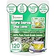 120 Premium Soursop Graviola Dried Leaves Tea, Soursop Leaves, Wildcrafted, Graviola Tea, Guanabana Tea, Hoja Guanabana, Soursop Loose Leaf Herbal Tea, No Gluten, Vegan