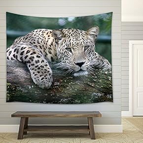 Leopard Lying on an Old Tree Trunk - Fabric Wall Tapestry Home Decor - 51x60 inches