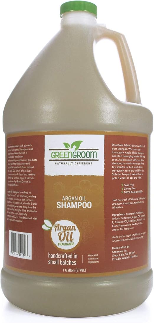 2 week old chihuahua puppies