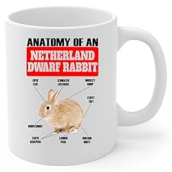 Lovesout Funny Red Netherland Dwarf Rabbit Anatomy