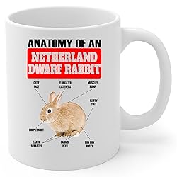 Lovesout Funny Red Netherland Dwarf Rabbit Anatomy