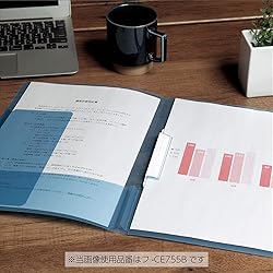 Kokuyo Campus Easy to Review Print File, Clip