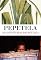 Livro As Aventuras de Ngunga