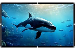 Outside Projector Screen - Foldable Anti-Crease Theater System,Outdoor Large Movie Projector Screens - for Indoor Camping RV 