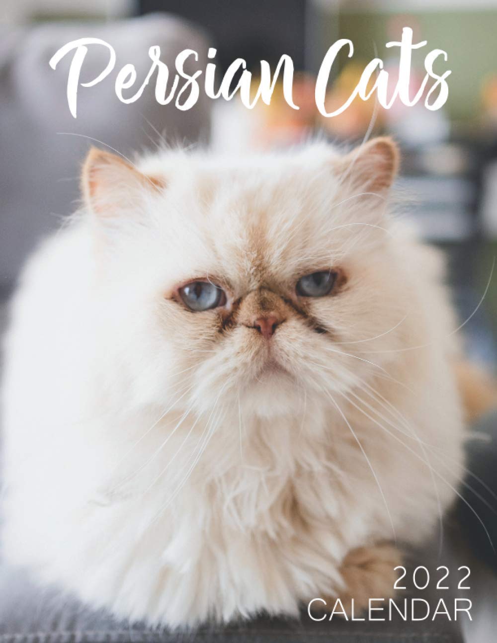 Persian Calendar 2022 Persian Cats Calendar 2022: Great 18-Month Grid Calendar 2022 From Jul 2021  To Dec 2022 For All Fans!!!: Smith, Tony: 9798713563325: Books - Amazon.ca