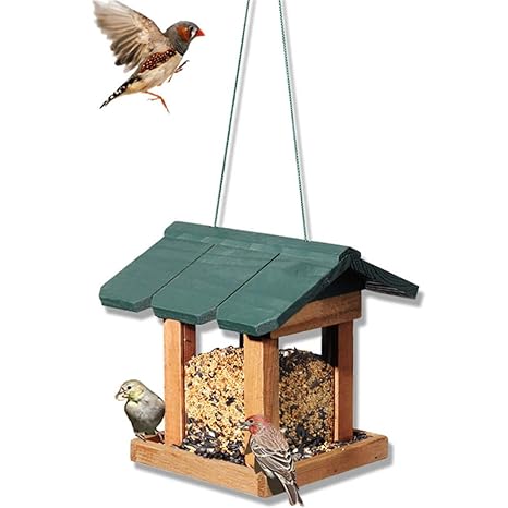 Amazon Com An Open Window Design Bird Feeder For Outdoors Yard