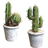Fycooler Artificial Succulent Plants Faux Cactus Decorative Succulents Potted Fake Cacti with Gray Pots Artificial Cactus for Bathroom/Home Decor House Decorations(B Set)