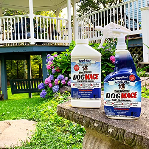 Nature's Mace Dog Repellent 40oz Spray/Treats 1,000 Sq. Ft. / Keep Dogs Out of Your Lawn and