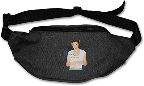 celine bum waist bag