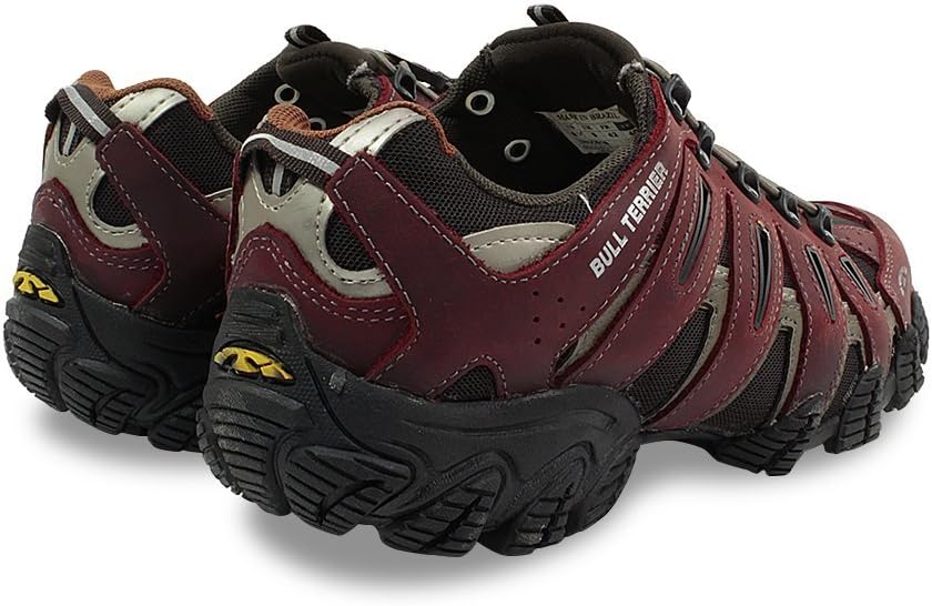 tenis bull terrier dragon 2