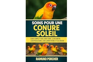 SOINS POUR UNE CONURE SOLEIL: GUIDE COMPLET SUR LEURS SOINS, LEUR HABITAT, LEUR POSSE, LEUR ALIMENTATION ET PLUS ENCORE