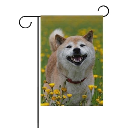 Amazoncom My Daily Shiba Inu Flower Fields Decorative